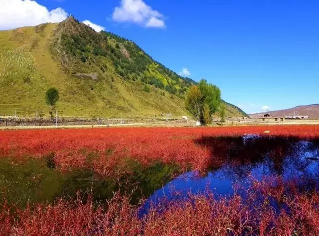 稻城从你的全世界路过片段,稻城从你的全世界路过