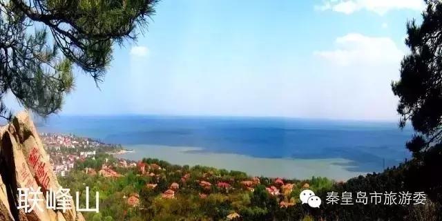 秦皇岛重阳,九九重阳节河北吃什么