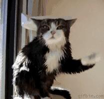 外国人真会玩的事情,外国人真会玩音乐系列