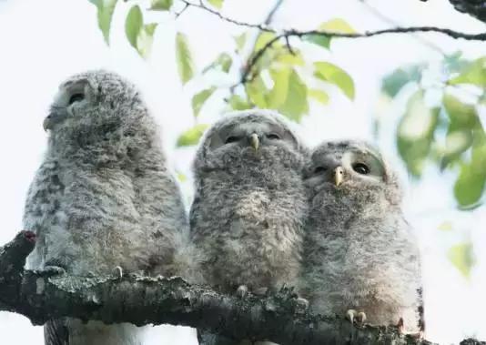 六岁孩子脑筋急转弯大全,睡前陪孩子玩脑筋急转弯