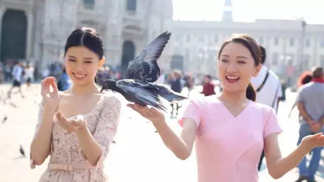 华姐带你走进北美,华姐带你玩直播