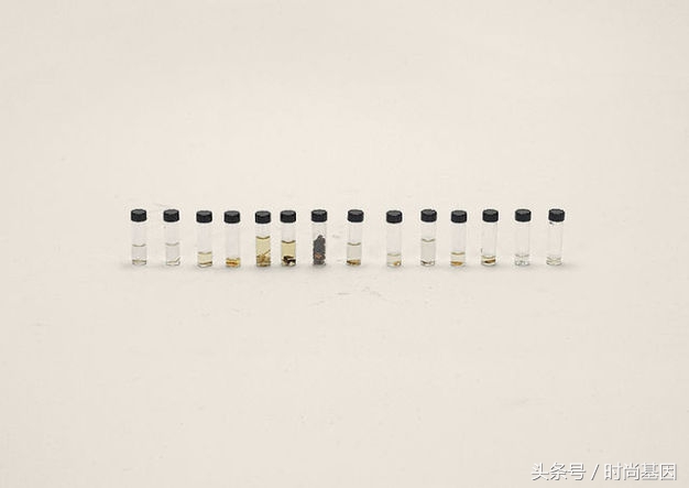 禁止食品进入的法律规定,禁止带入美国的中草药