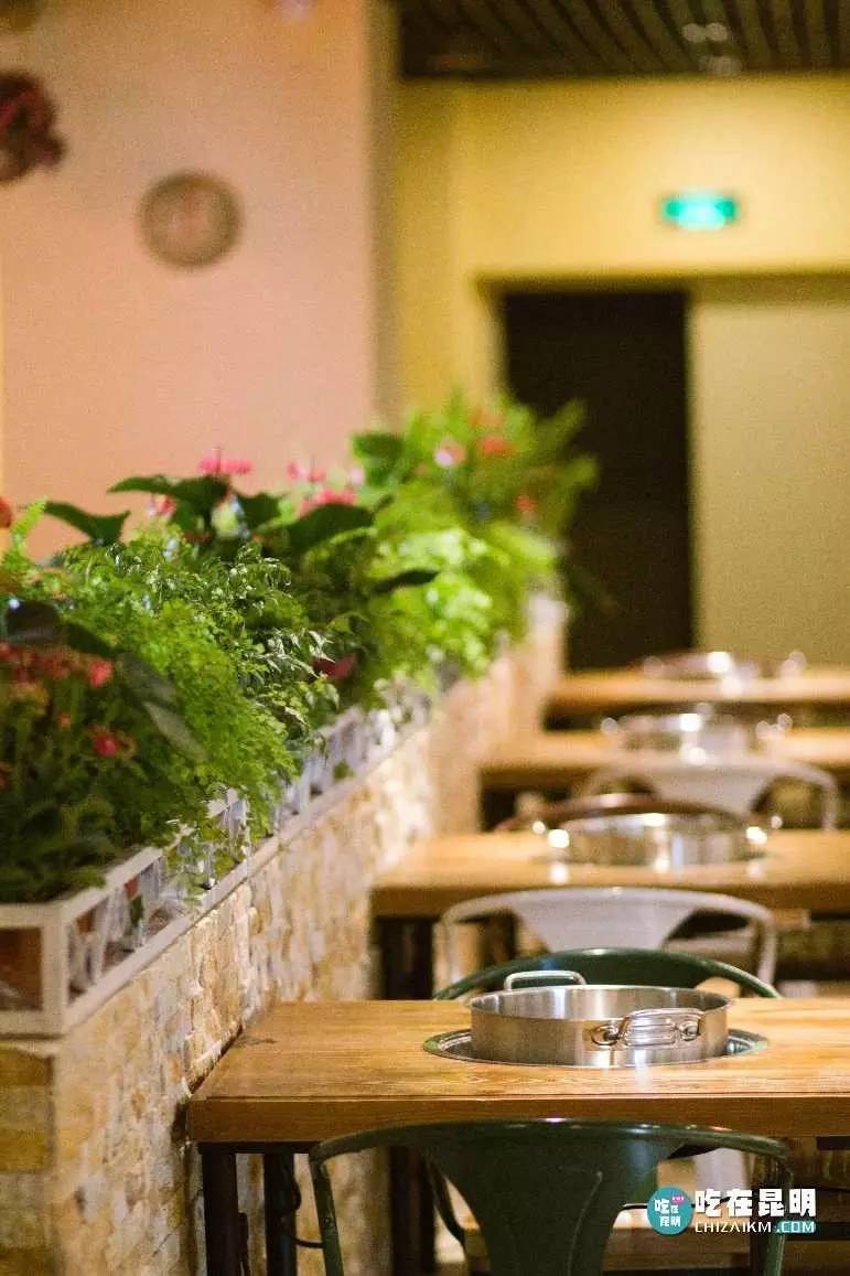 正宗的耗儿鱼火锅,成都排名第一耗儿鱼火锅