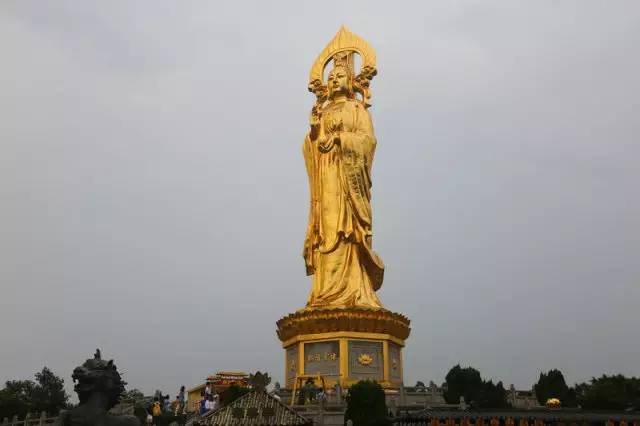 广州莲花山睡莲池,广州市莲花山睡莲