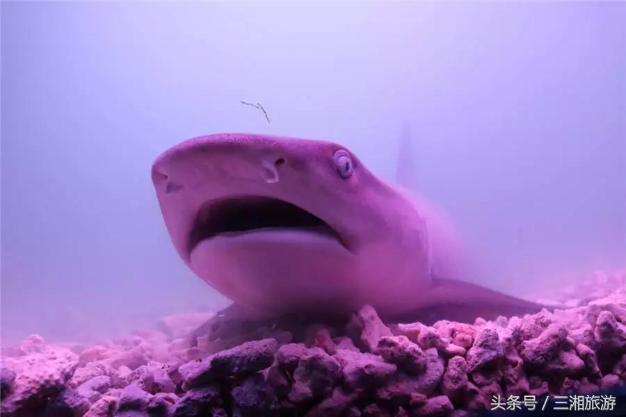 株洲漂流门票,株洲周边免门票游玩