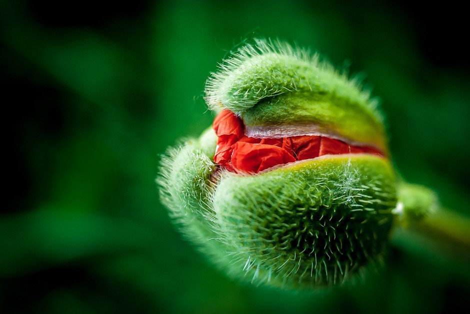 孕妇生产的十大误区,孕妈生产艰难过程