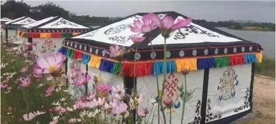 重阳节与老人互动,重阳节和老人互动