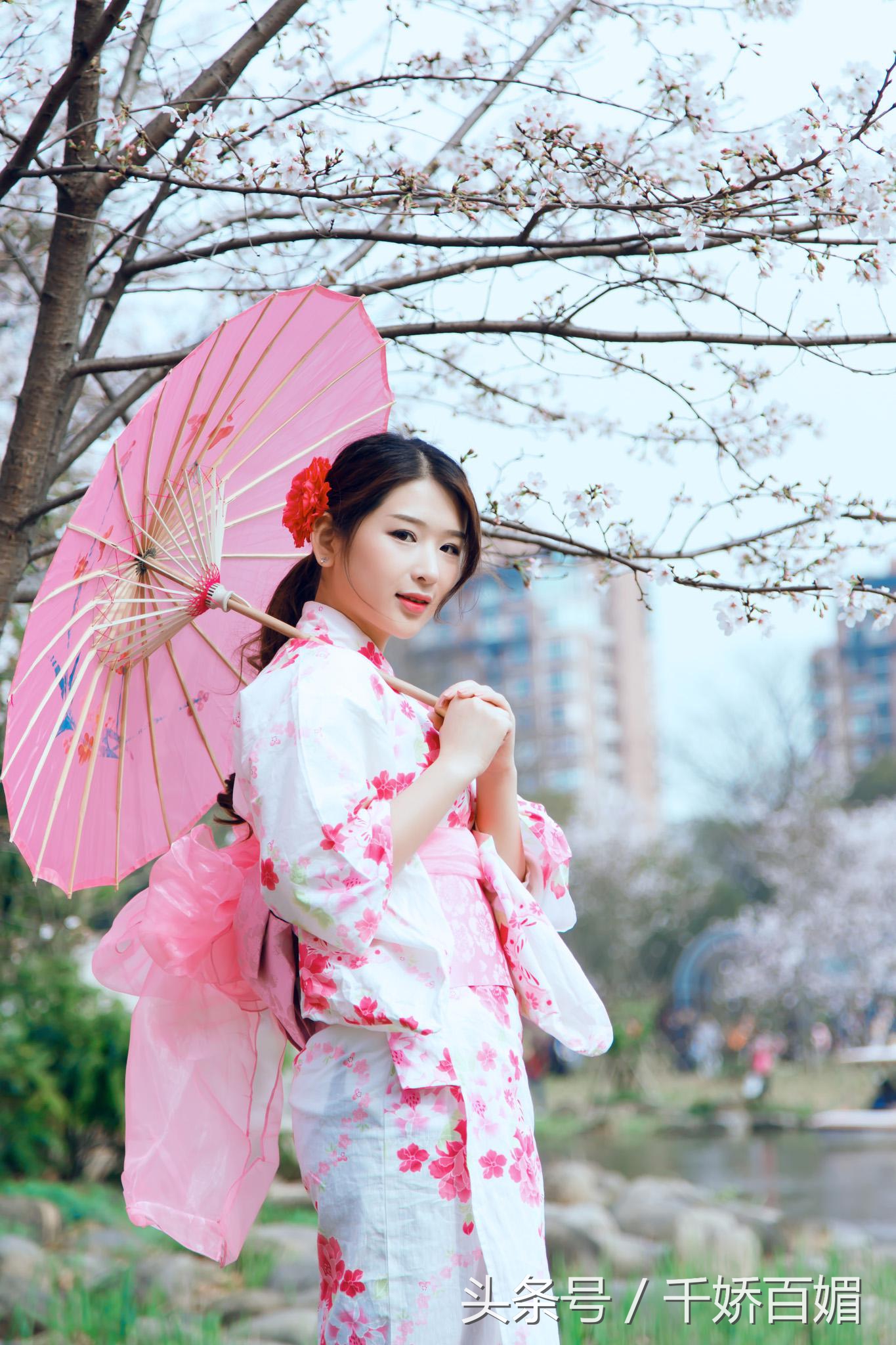 和服樱花日本,日本樱花美景和服