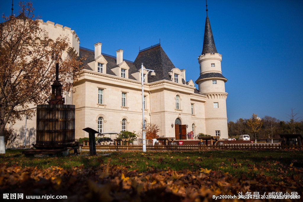 张裕爱斐堡有几款价格,张裕爱斐堡a9怎么样