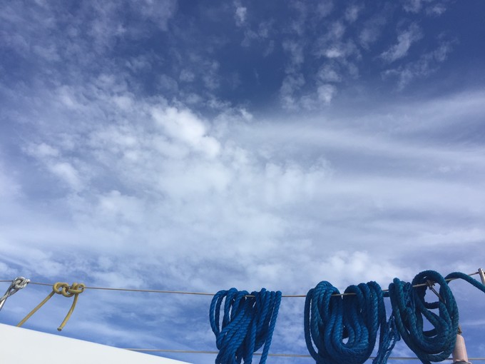 菲律宾潜水游记 (回忆菲律宾潜水的时光)