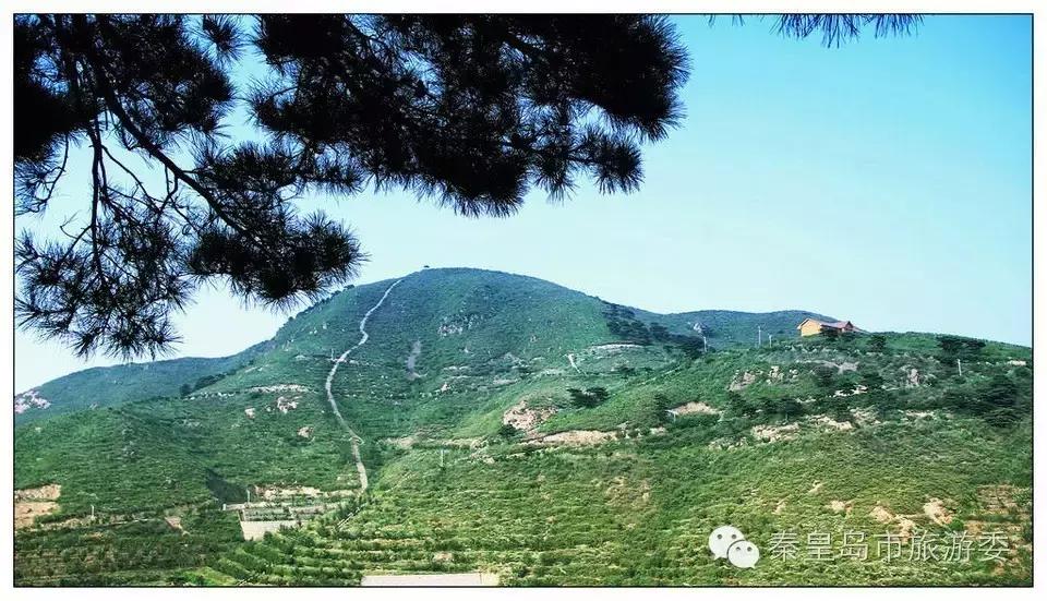 秦皇岛的秋景,河北秦皇岛风景秋季