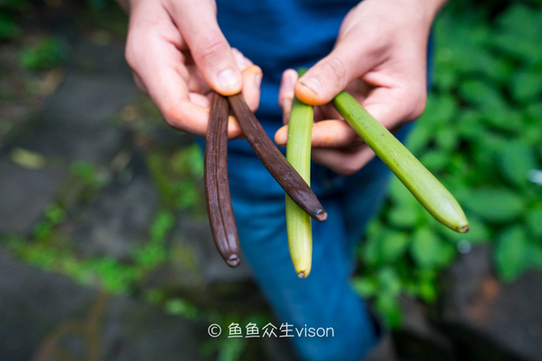 金银岛是真实存在的吗,金银岛神秘之谜