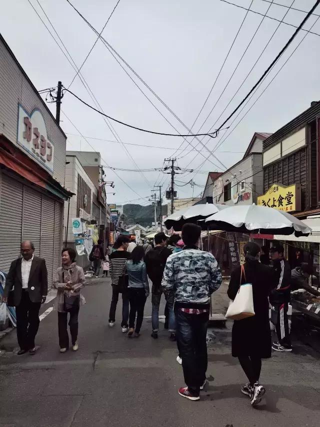 日本北海道自由行7天费用,日本北海道五天自由行攻略