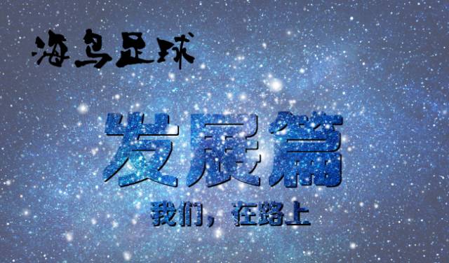 绿茵场和足球场,绿茵联手计划足球赛