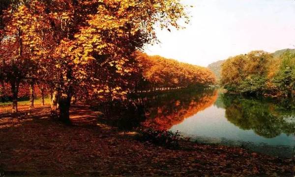 贵阳市适合踏青的公园,深秋去哪里西宁