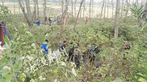 突发：事发沙市，河豚鱼运输途中侧翻误食或身亡