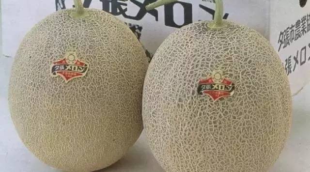 鍗佸ぇ鍦熻豹姘存灉,鍦熻豹鍚冨緱璧风殑鍥涚椤剁骇姘存灉