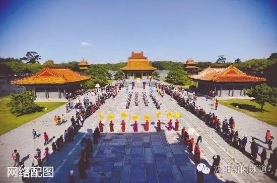 沈十一免费阅读全文,沈十一