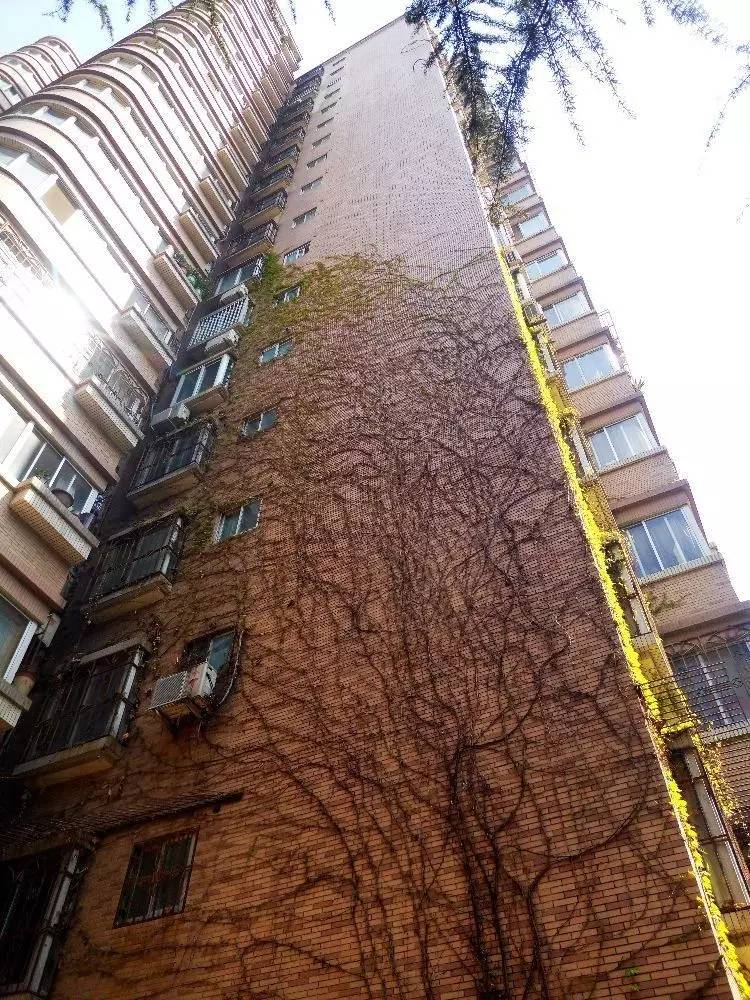 西法大,西法大以后还能评上双一流吗