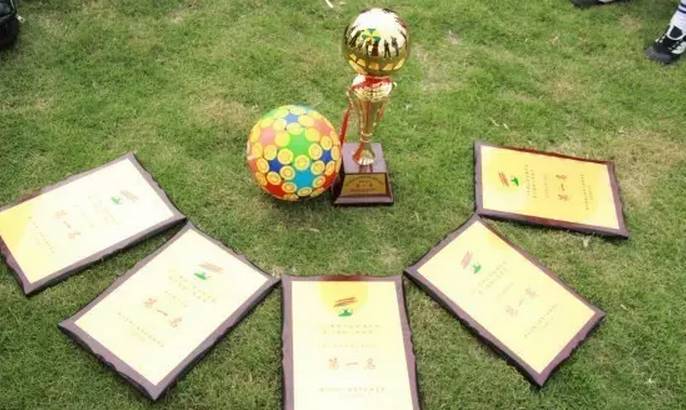 点赞丨这些孩子太棒了，捧回了省、市好几个冠军大奖！