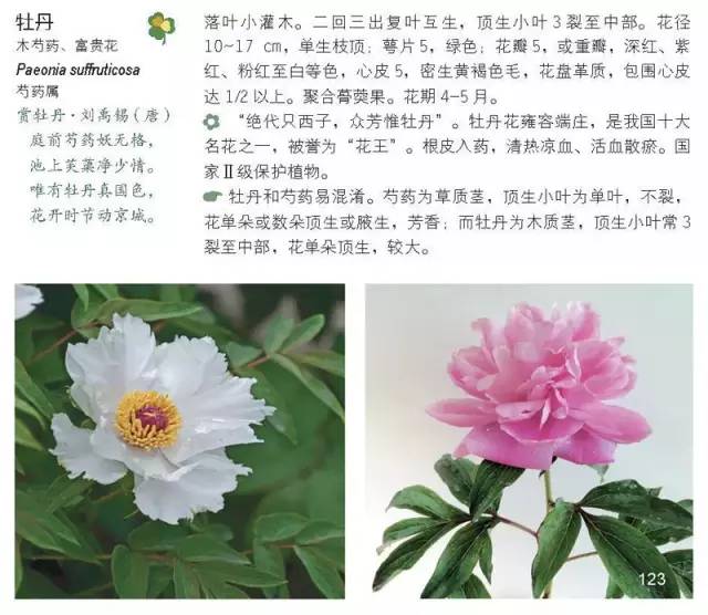 120年，你绝不可能错过的一种“川大之美”