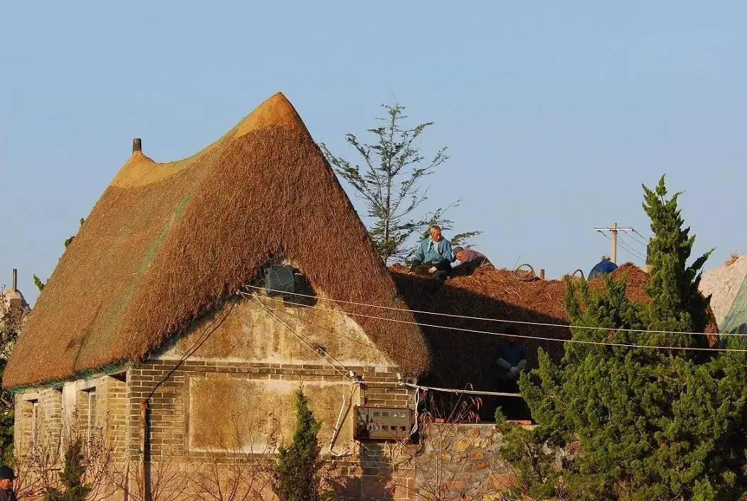 长岛免费景点攻略亲子,长岛海岛风情