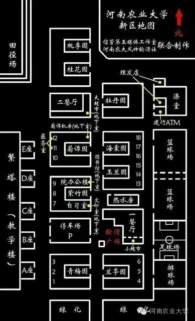 特别策划三分钟过后，农大小石榴马上开挂成老鸟！