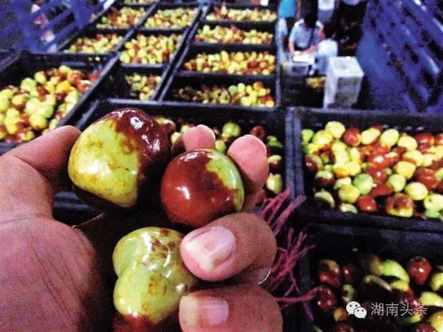 再甜再红都不要买，严重可致癌？！朋友圈都传疯了