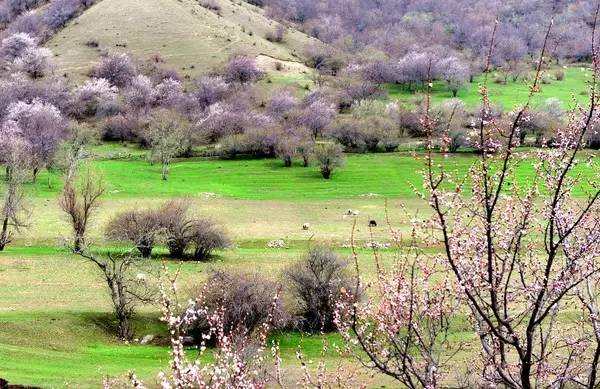 看头条后天就能从克拉玛依坐火车到喀什啦！