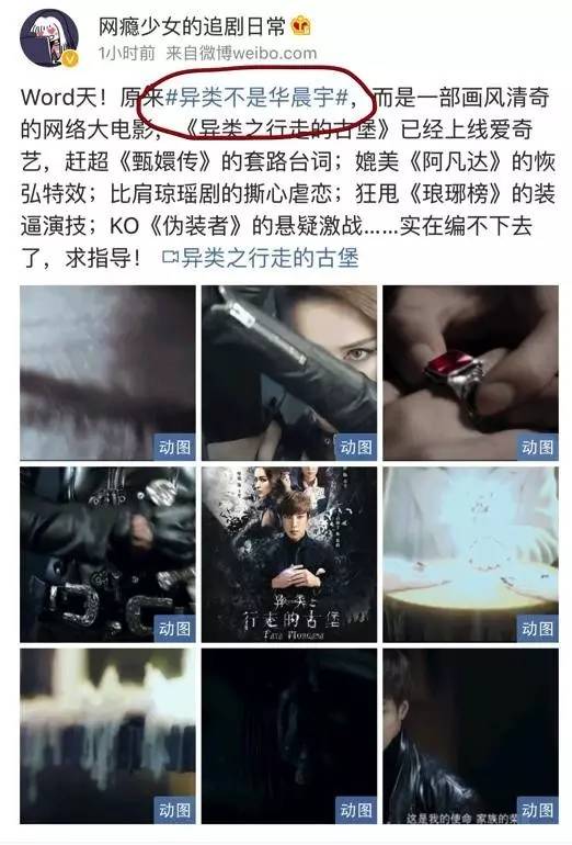 扒姨太爆料,扒姨太爆料吴京谢楠完整视频