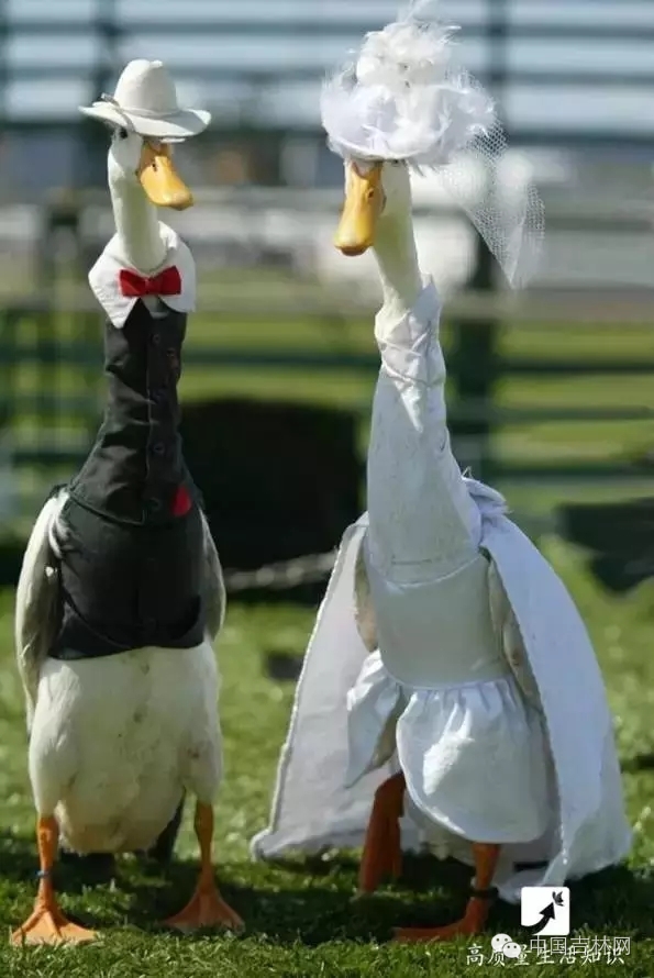 长春热企提前开栓供暖,长春市提前开栓供热通知