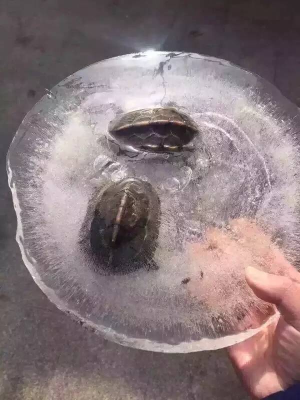 有一种裸竟然可以让人在这种速冻天暖起来