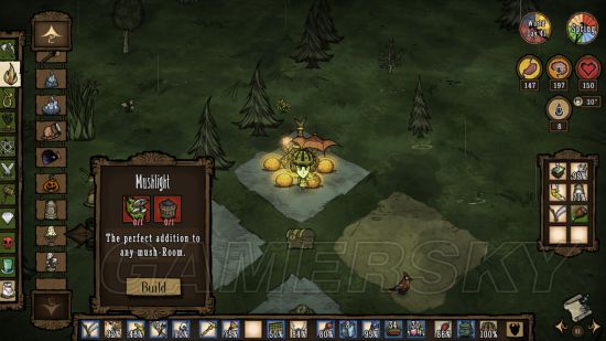 饥荒联机版攻略最详细教学,饥荒联机版芦苇有什么用