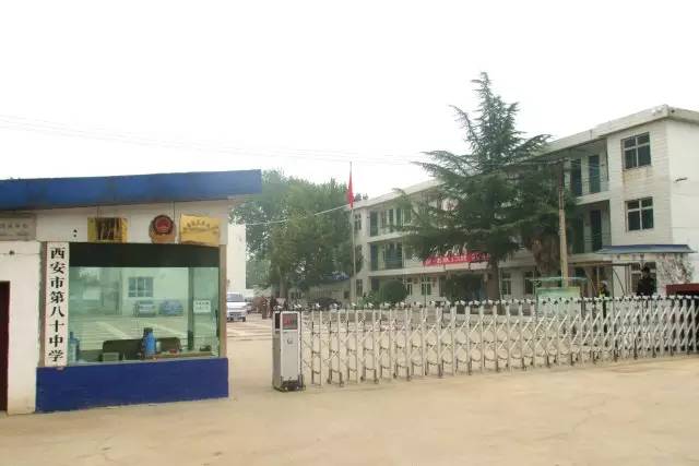 国际港务区有什么好的公办初中吗,国际港务区哪个小学最好