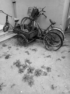 乐视乐2拍照体验,乐视手机乐2评测