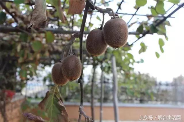 烟台附近轰趴场地,烟台轰趴馆