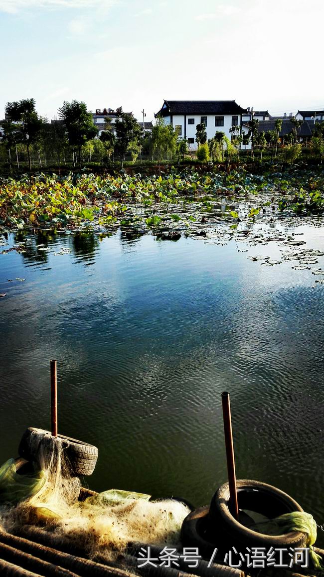 尼苏小镇打卡地,尼苏小镇是哪里