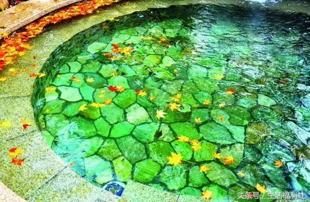 什么能够代表哈尔滨,哈尔滨代表人