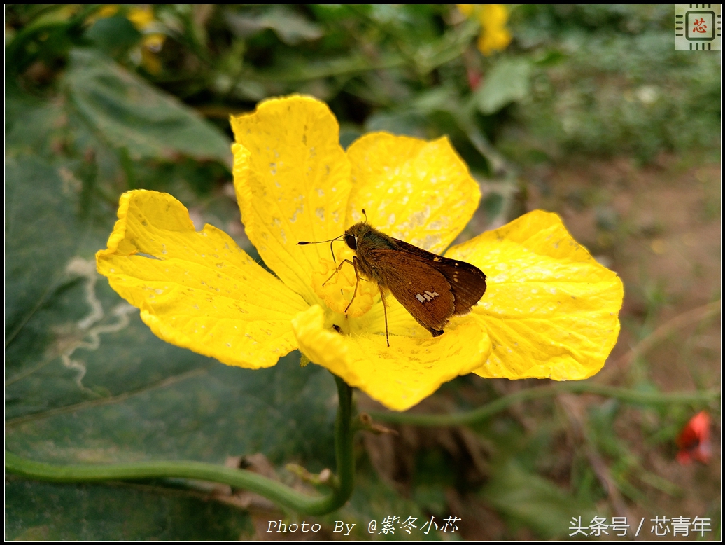 乐Pro3买了就后悔？看了这篇用户评测之后再决定吧