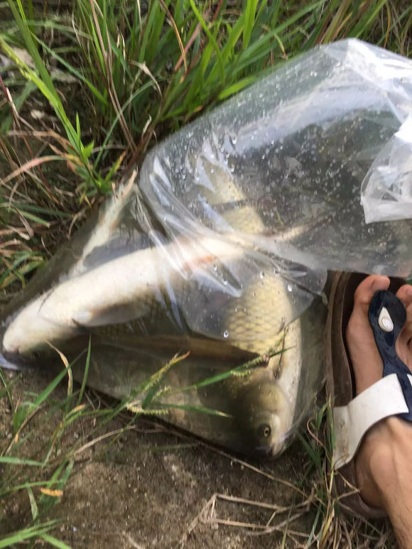 为什么野钓更舒服,为什么野钓要钓底