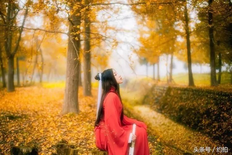 五一成都最适合拍照的地方,成都值得一去的拍照地