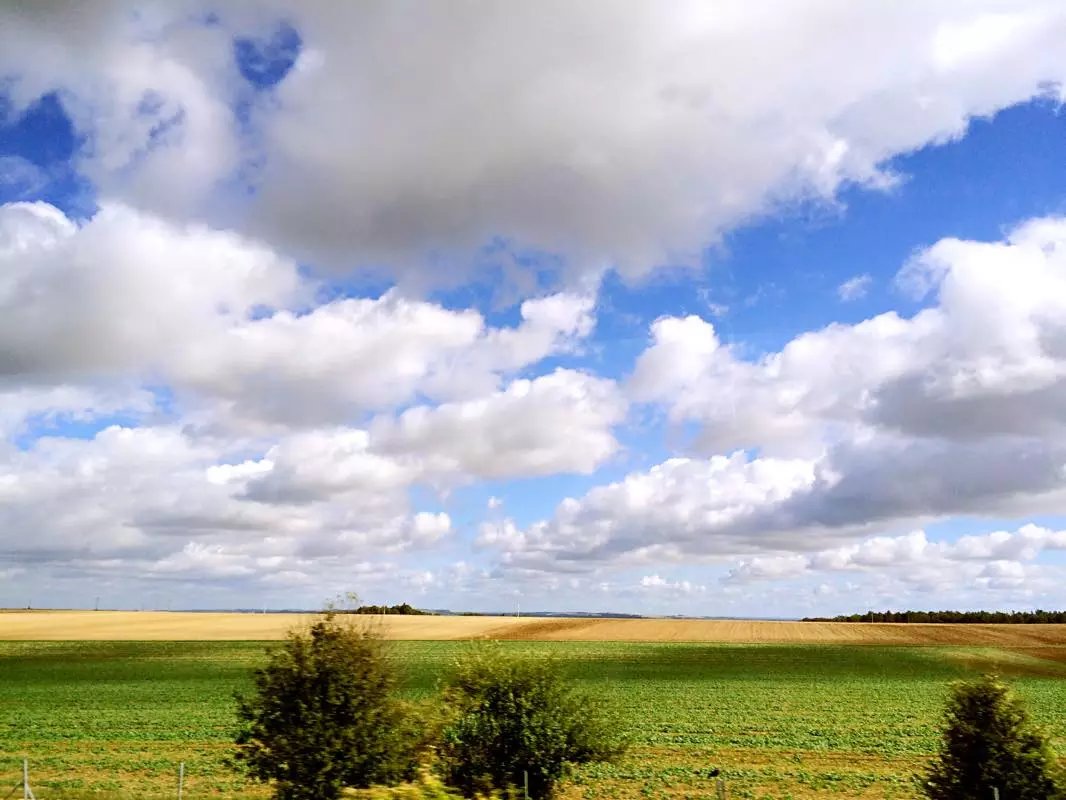 蓝瘦香菇在这里视频,蓝瘦香菇在法国