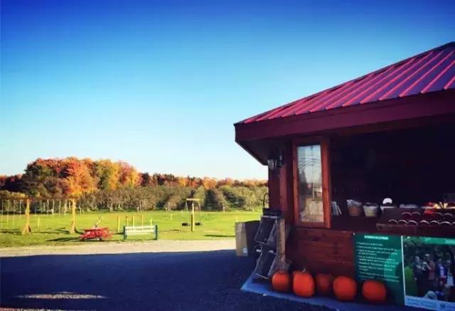 你们都错了，其实加拿大的秋季才是最厉害的时装大师