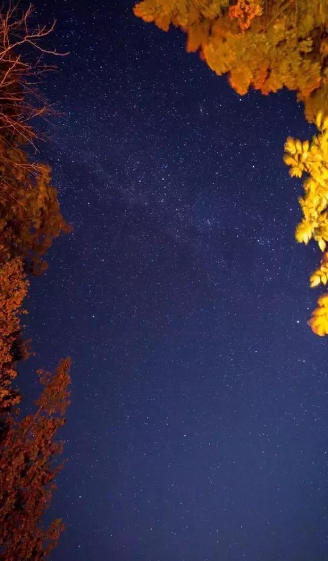 你们都错了，其实加拿大的秋季才是最厉害的时装大师