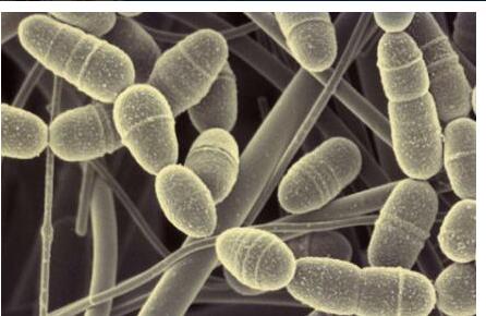 日常女性养生知识大全集,30岁健康养生小知识