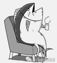 留学生被问到最不能忍受的问题,留学生最讨厌听到的话