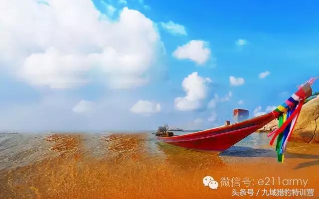 真正的教育应该怎么做,父母应该怎么样正确教育孩子