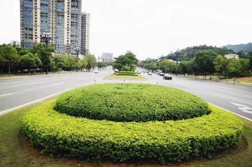 2024年晋江半程马拉松赛程,晋江国际马拉松排名