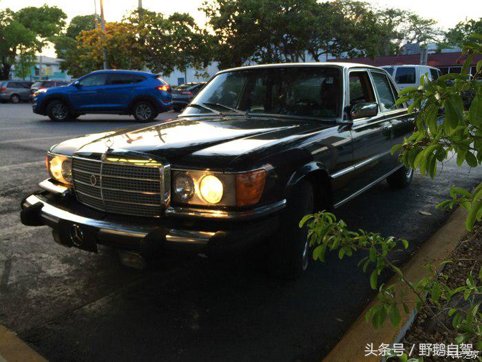 野鹅旅行,野鹅自驾无人区