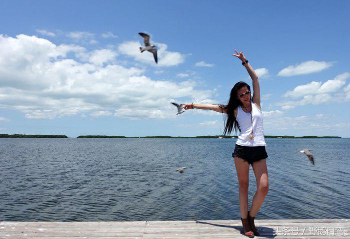 野鹅旅行,野鹅自驾无人区